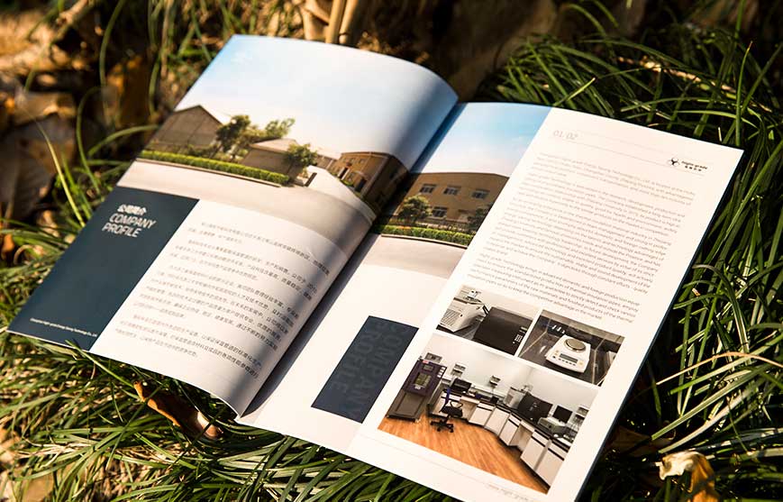 奧運(yùn)&mdash;&mdash;企業(yè)的營(yíng)銷平臺(tái)