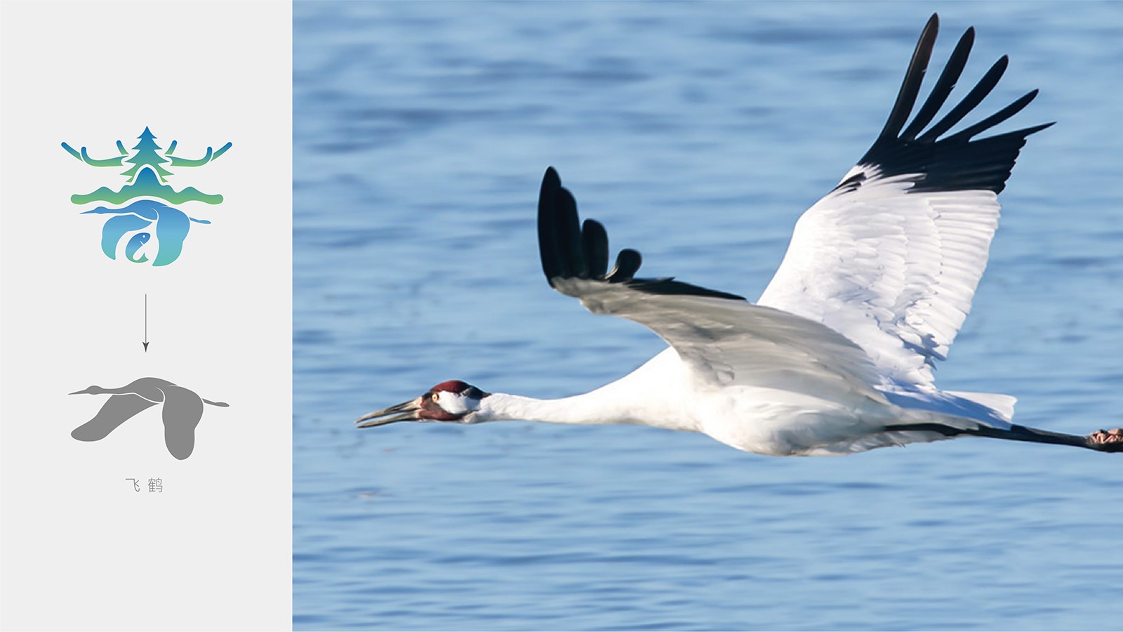 vi設(shè)計(jì)報(bào)價(jià)一般是多少