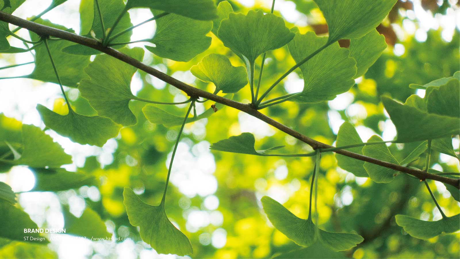 vi設(shè)計一套收費標(biāo)準(zhǔn)怎么看？