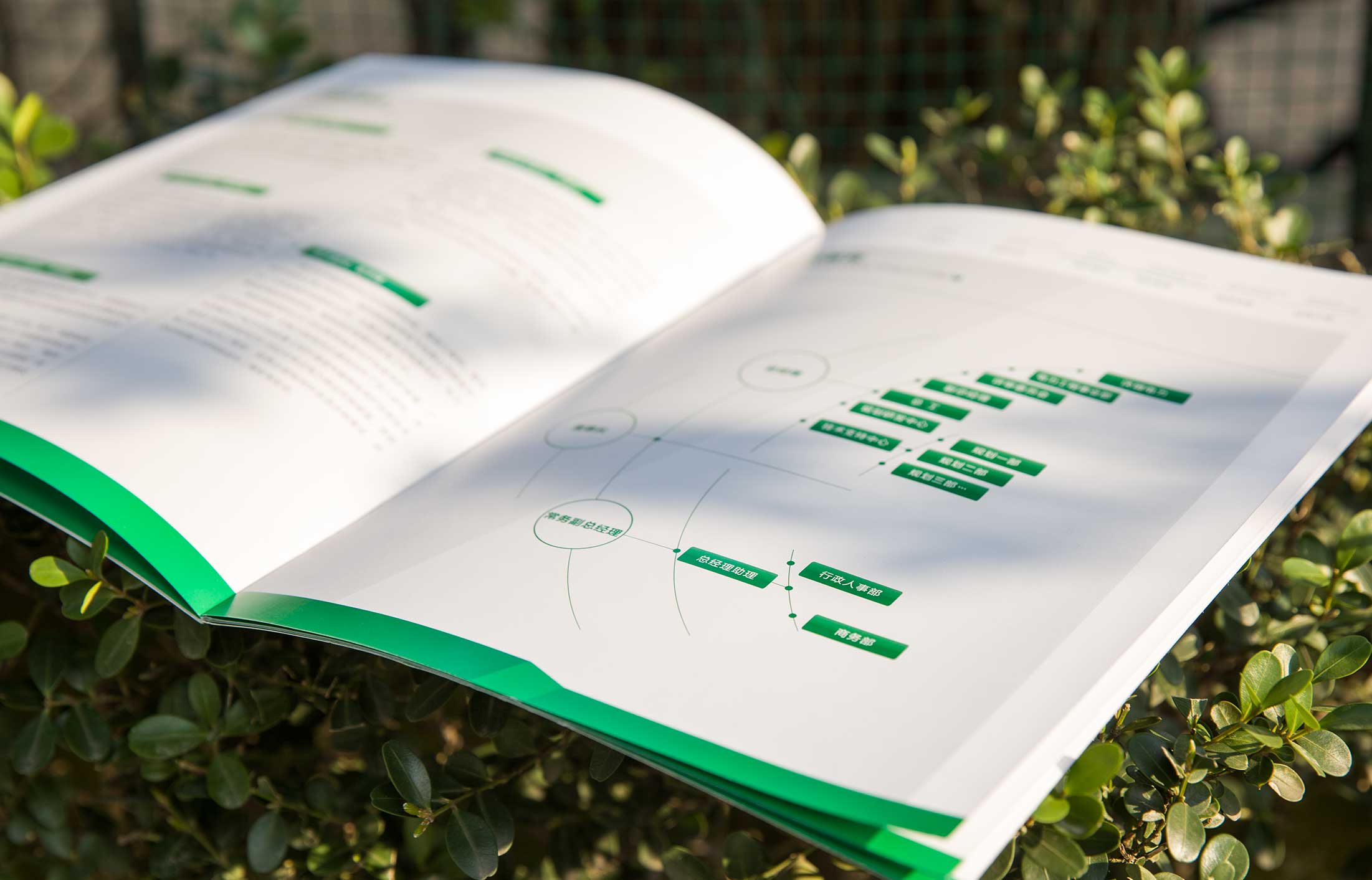 互動營銷策劃公司幫助企業