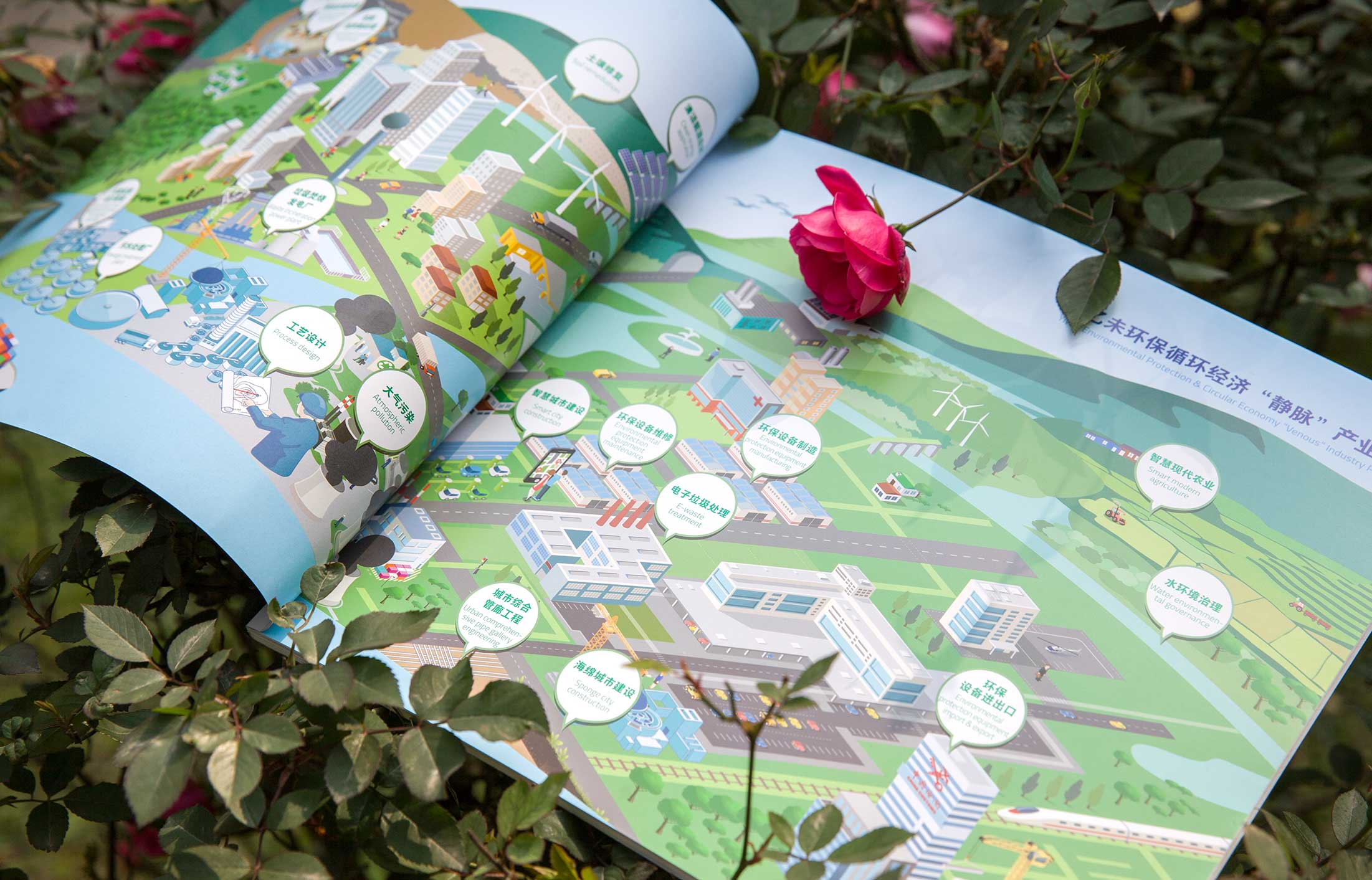 1596175283286942.jpg 6.jpg