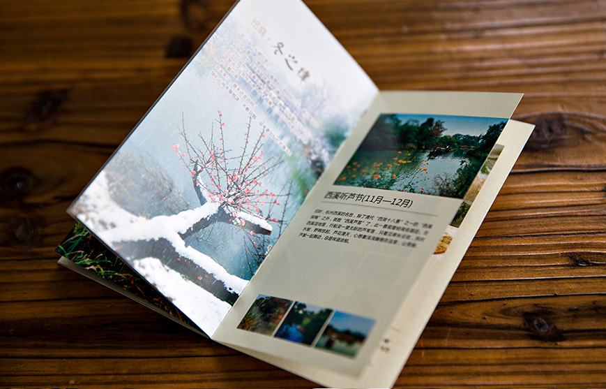 1596176806475108.jpg 3.jpg