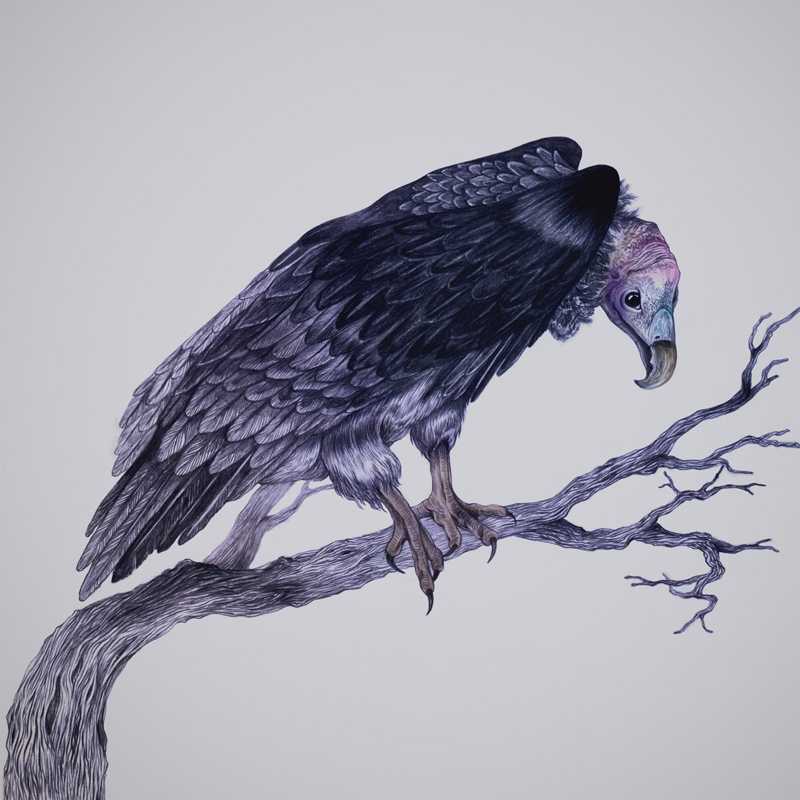 音樂(lè)專(zhuān)輯包裝插畫(huà)