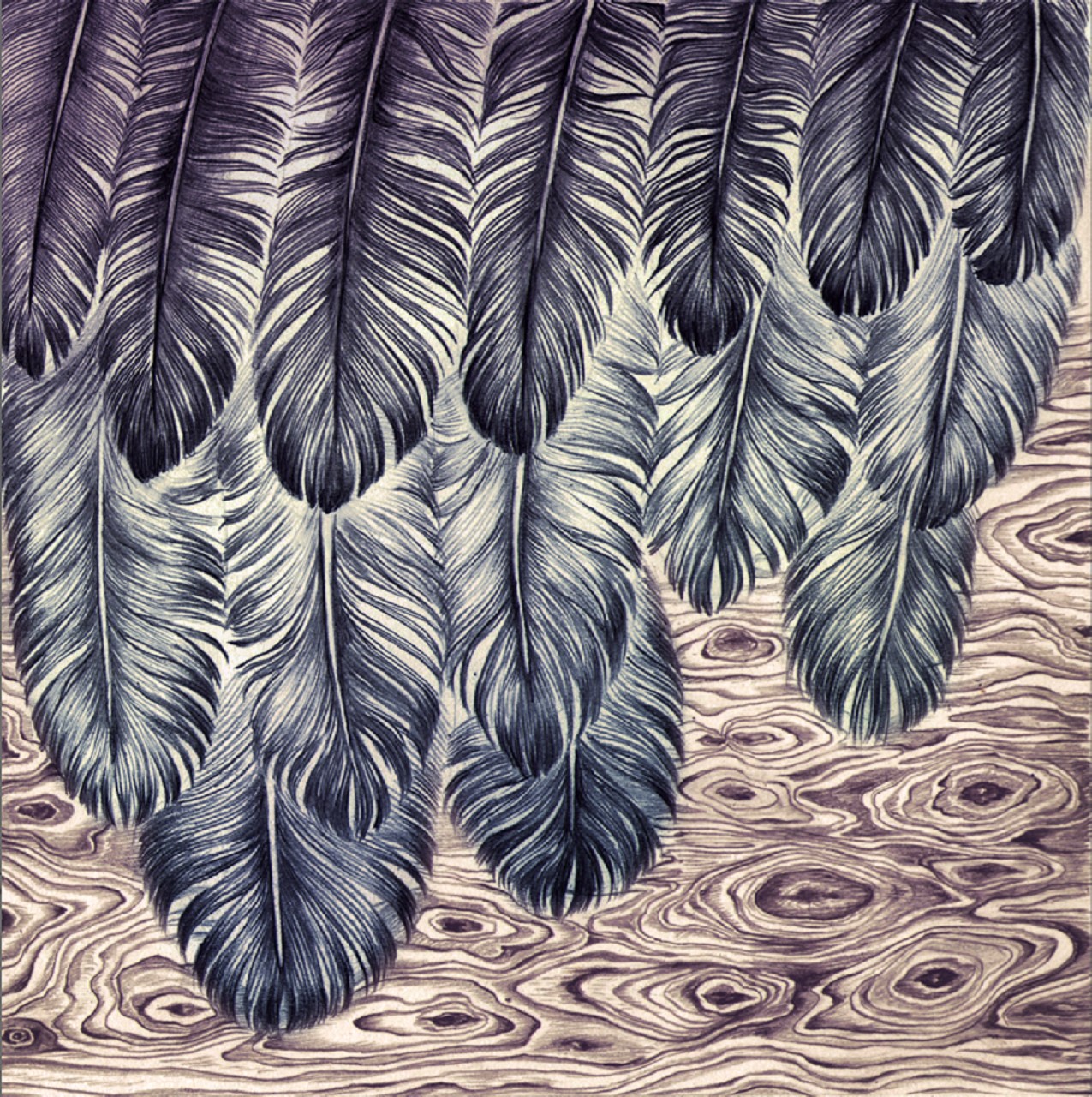 音樂(lè)專(zhuān)輯包裝插畫(huà)