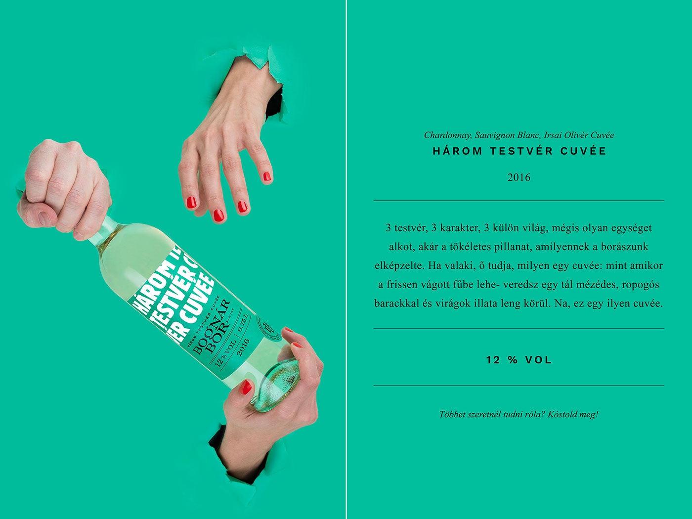 Bognar家族的年輕葡萄酒包裝設計，我們只需要更年輕