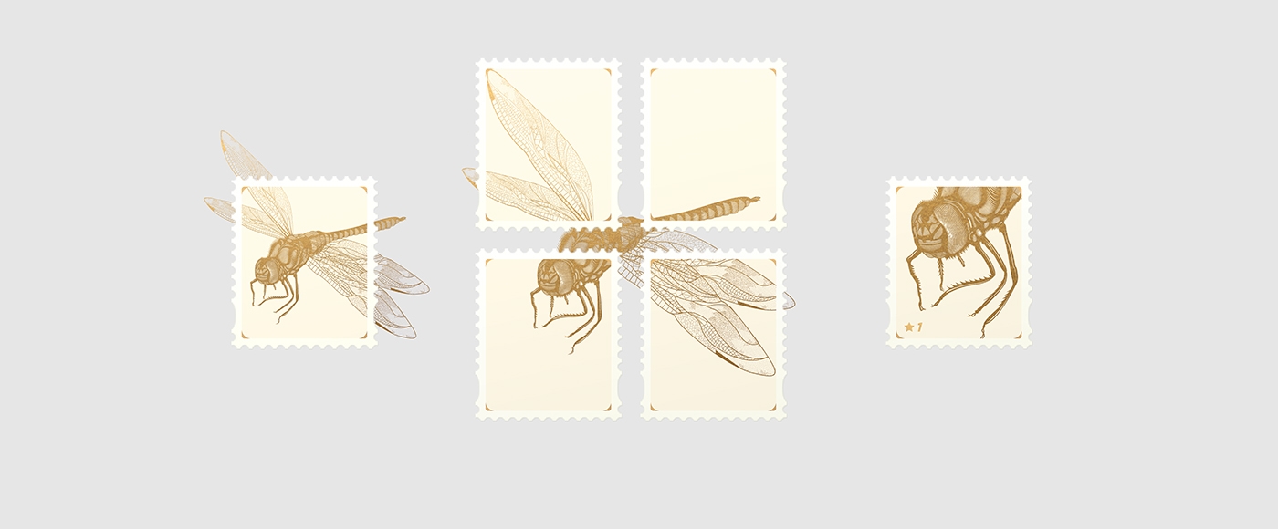 大自然的奇跡，蜻蜓主題的咖啡品牌包裝設(shè)計(jì)