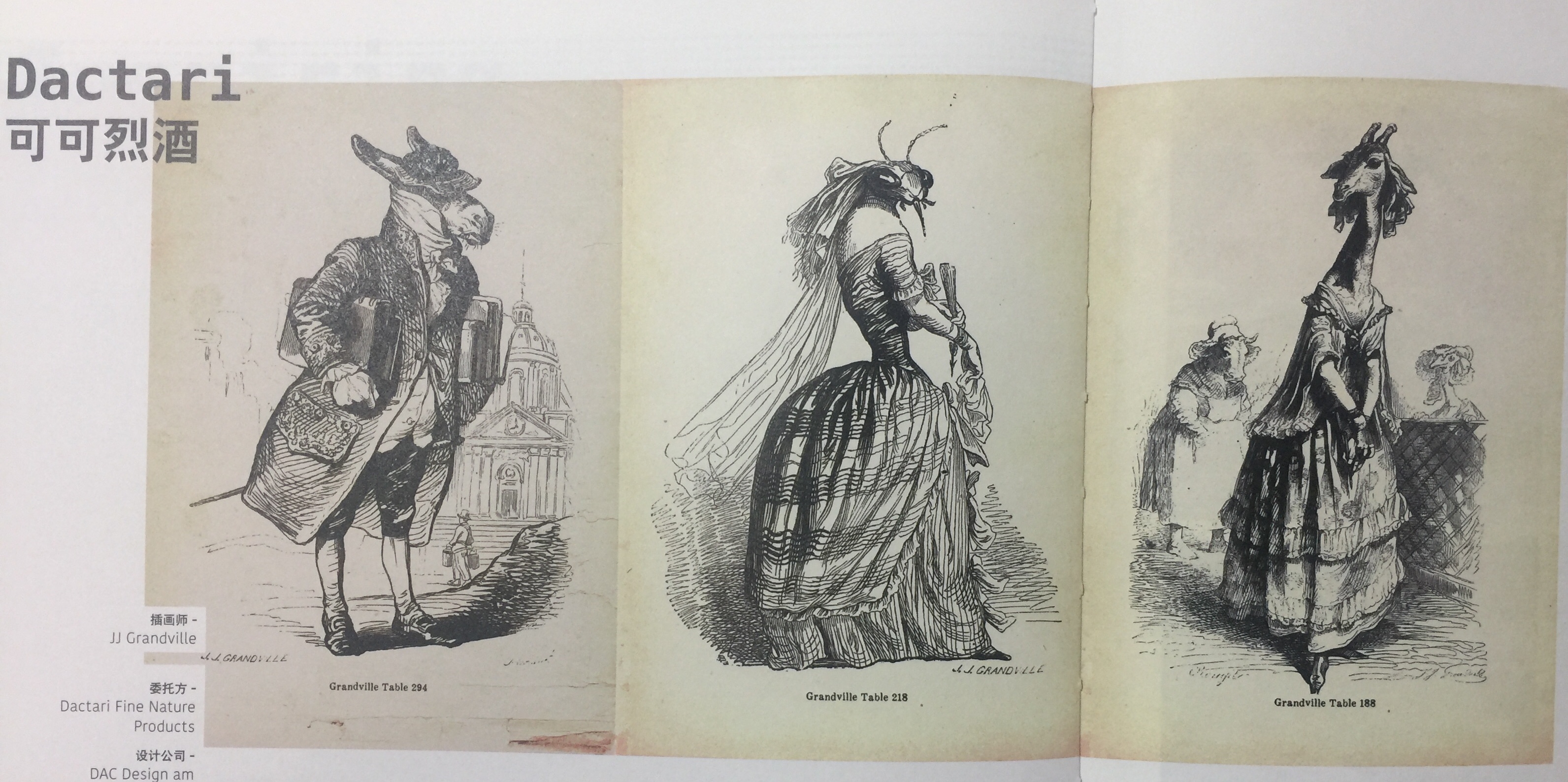 獨特的手繪人物-可可烈酒包裝設計