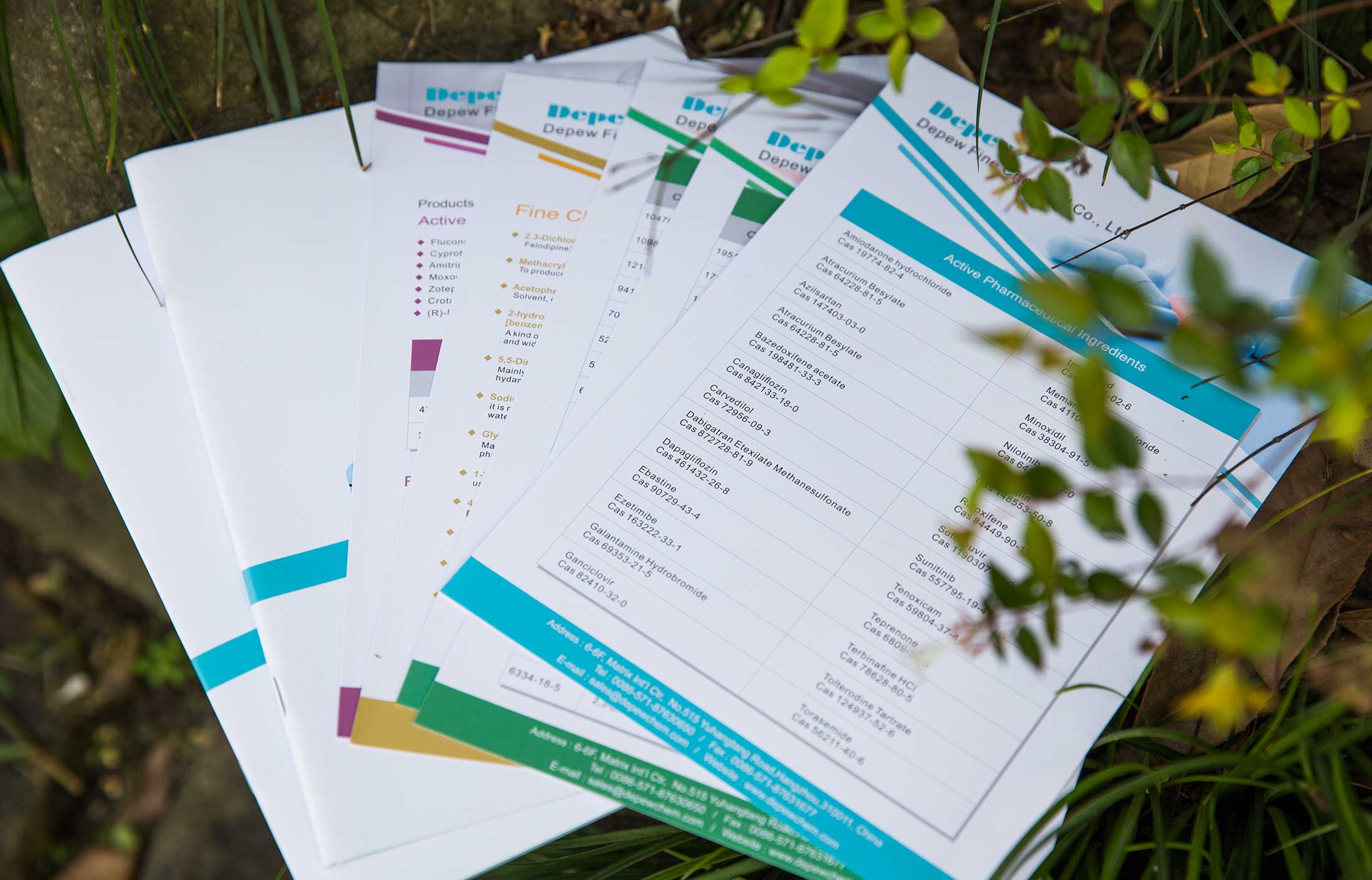 德普精細(xì)化工宣傳冊(cè)